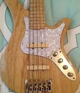 PG 823: CARVIN SB5000