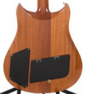 PG 8499: ELECTRA 1980 MPC OUTLAW X-720 BACKPLATE SET