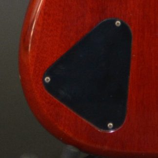 PG 20214: EPIPHONE ORIGINAL 1962 CORONET BACKPLATE