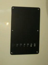 PG 5038: FENDER PRODIGY TREM BACKPLATE