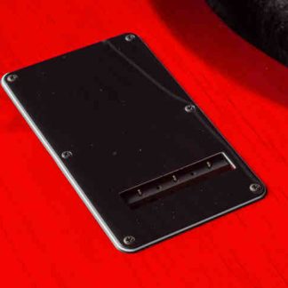 PG 7808: FRIEDMAN TREM BACKPLATE