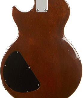 PG 2304: Gibson 1978 The Paul & 1983 Invader Backplate