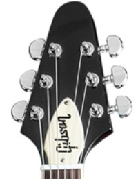 PG 4106: GIBSON 2013 V TRUSS ROD COVER