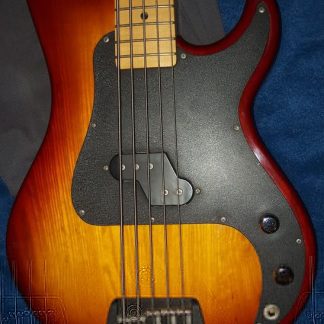 PG 6058: G&L L-5000  5 STRING