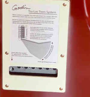PG 85033: GODIN SESSION TREMOLO BACKPLATE