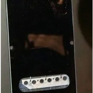 PG 8018: HAMER 1985 TREM BACKPLATE