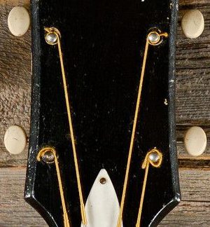 PG 85032: HARMONY 1965 H-22 TRUSS ROD COVER