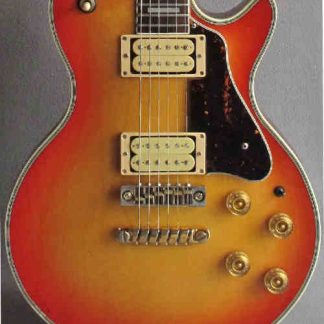 PG 23504: Ibanez PF350