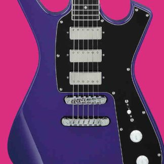 PG 3220: IBANEZ PGM FRM300