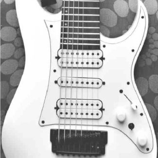 PG 3247: Ibanez TAM 10