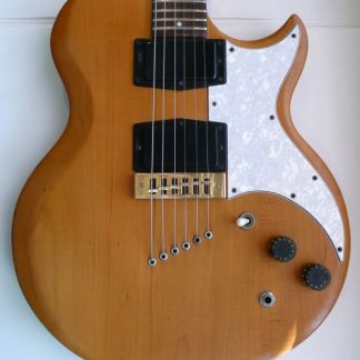 PG 3604: Gibson L6 Deluxe
