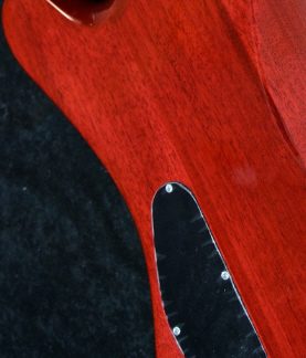 PG 920: MIKE LULL CUSTOM T4 BASS BACKPLATE