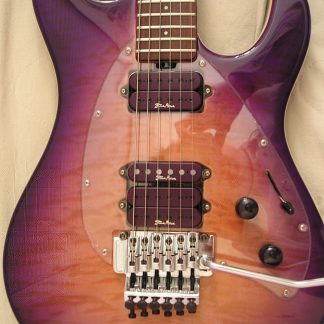 PG 3978: Music Man Steve Morse “Y2D”