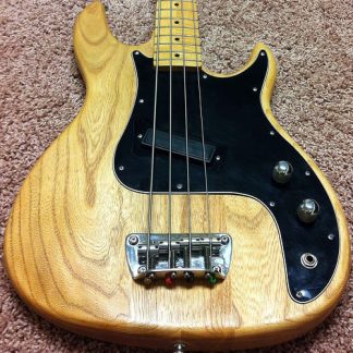 PG 205: Peavey Fury Bass