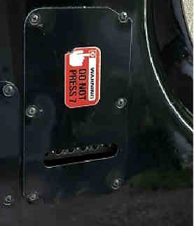 PG 15804 Peavey Patriot Tremolo Backplate