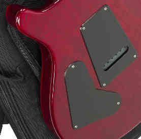 PG 17326: PRS S2 CONTROL COVER BACKPLATE