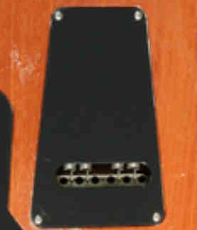PG 17214: PRS S2 STANDARD TREMOLO COVER BACKPLATE
