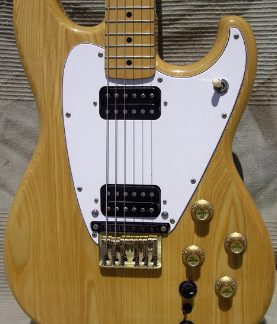 PG 22904: ROLAND G-202