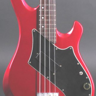 PG 55: GIBSON VICTORY STD BASS
