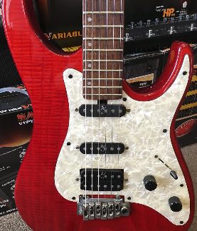 PG 50666: WASHBURN MG-401 DELUXE