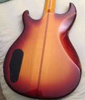 PG 51904: YAMAHA BB 1000S BACKPLATE