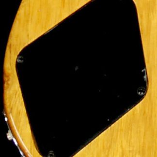 PG 23: G & L  ASAT  Junior Backplate