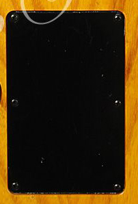 PG 608: G & L Invader Trem Cover