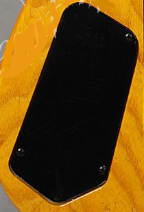 PG 634: G&L Invader Control Backplate