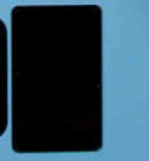 PG 25001: CHARVEL  1980s TREM BACKPLATE