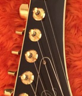 PG 1904: Gibson 1981 Explorer II Truss Rod Cover