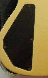 PG 860: Fender 1992 Jazz Plus V or American Deluxe 5-String Jazz Bass  Backplate