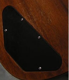 PG 7610: GIBSON 2006 FADED SG SPECIAL BACKPLATE