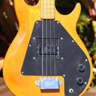 PG 60: GIBSON 1970's GRABBER BASS