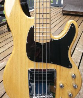 PG 32492: IBANEZ ATK 305 5 STRING BASS