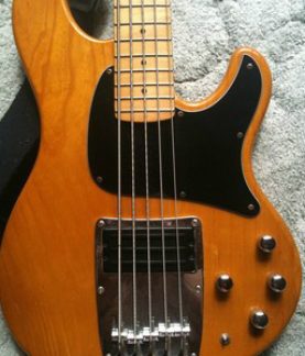 PG 3249: IBANEZ ATK 305 5-STRING BASS