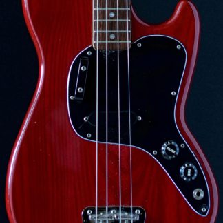 PG 16: Fender 1978 Musicmaster Bass