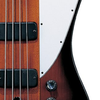 PG 5910: GIBSON 2005 THUNDERBIRD