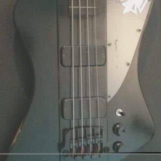 PG 5902: GIBSON BLACKBIRD