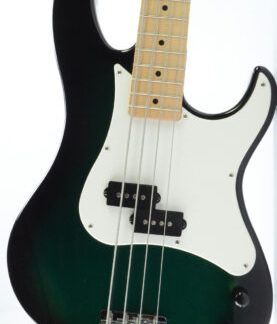 PG 5022: YAMAHA ATTITUDE PLUS BASS